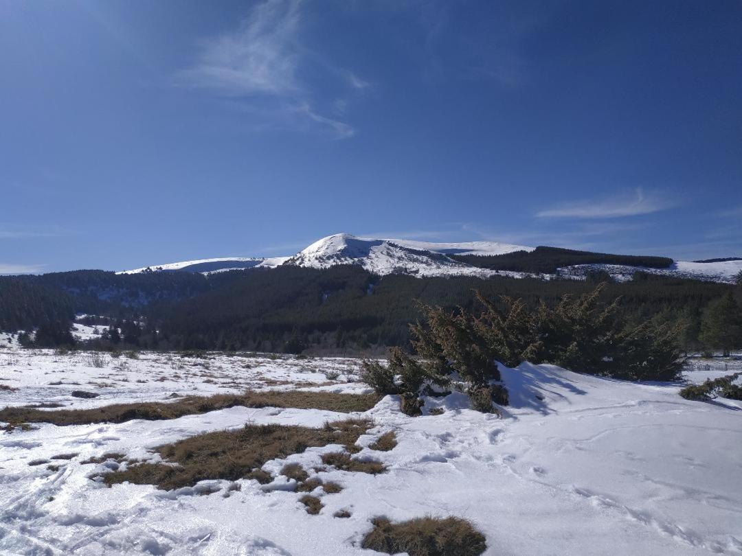 Nid Sous Le Volcan Saint-Sandoux Экстерьер фото